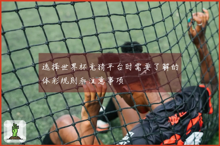 选择世界杯竞猜平台时需要了解的体彩规则和注意事项