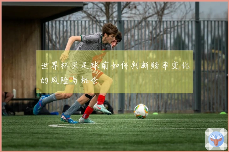世界杯买足球前如何判断赔率变化的风险与机会