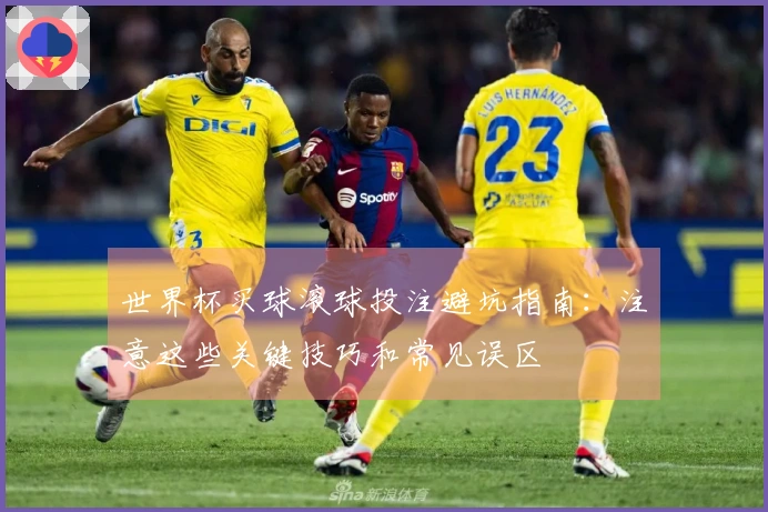 世界杯买球滚球投注避坑指南:注意这些关键技巧和常见误区