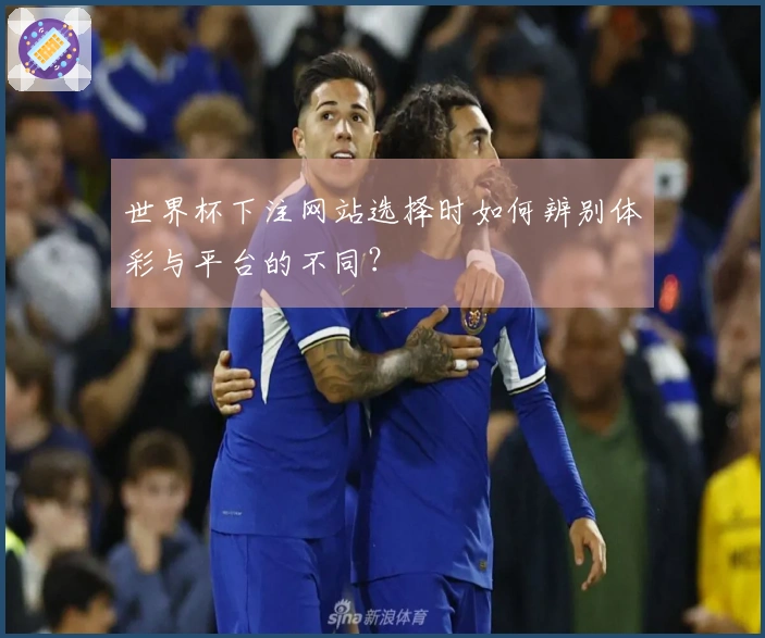 世界杯下注网站选择时如何辨别体彩与平台的不同？