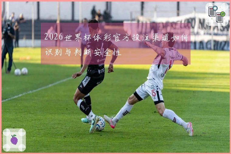 2026世界杯体彩官方投注渠道如何识别与判断安全性