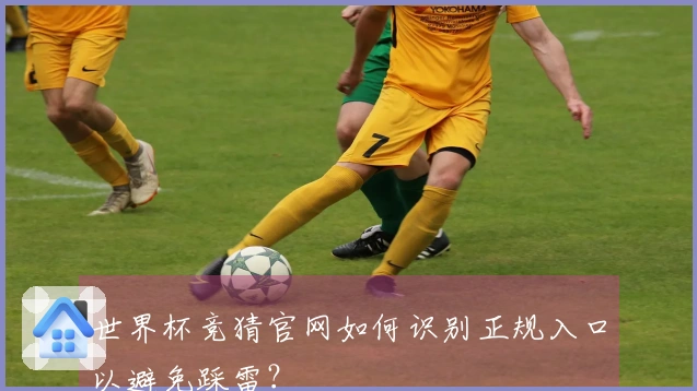 世界杯竞猜官网如何识别正规入口以避免踩雷？