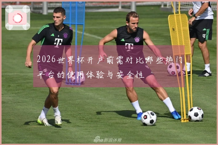2026世界杯开户前需对比哪些热门平台的使用体验与安全性