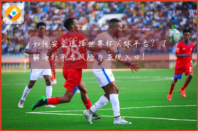 如何安全选择世界杯买球平台？了解海外平台风险与正规入口！