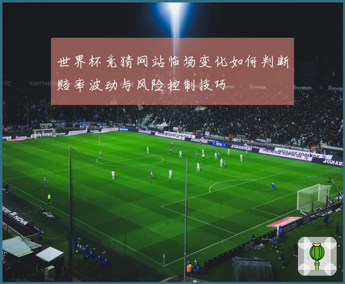 世界杯竞猜网站临场变化如何判断赔率波动与风险控制技巧