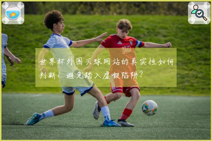 世界杯外围买球网站的真实性如何判断，避免踏入虚假陷阱？