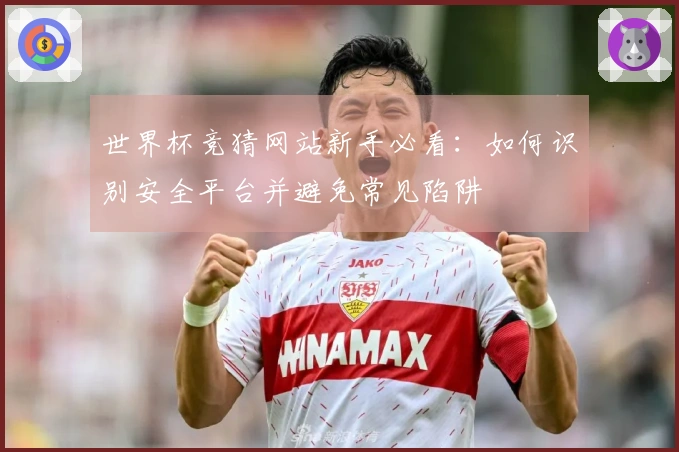 世界杯竞猜网站新手必看：如何识别安全平台并避免常见陷阱