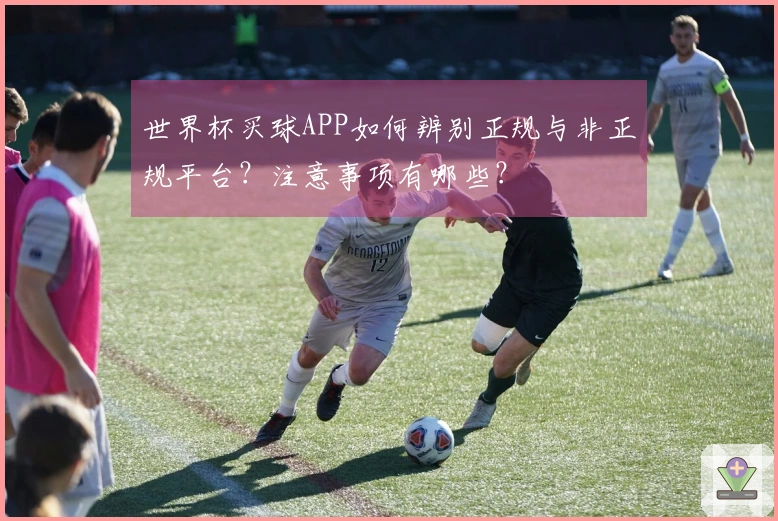 世界杯买球APP如何辨别正规与非正规平台？注意事项有哪些？
