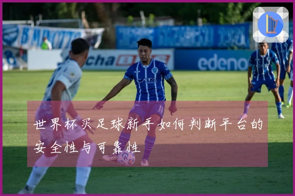 世界杯买足球新手如何判断平台的安全性与可靠性
