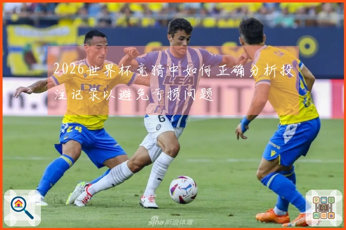 2026世界杯竞猜中如何正确分析投注记录以避免亏损问题