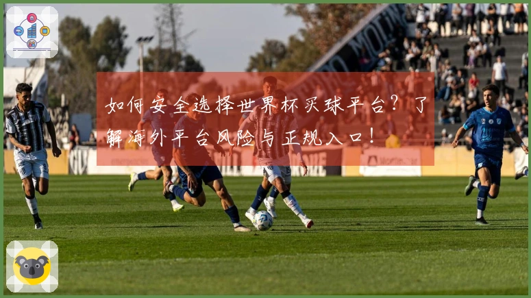 如何安全选择世界杯买球平台?了解海外平台风险与正规入口!