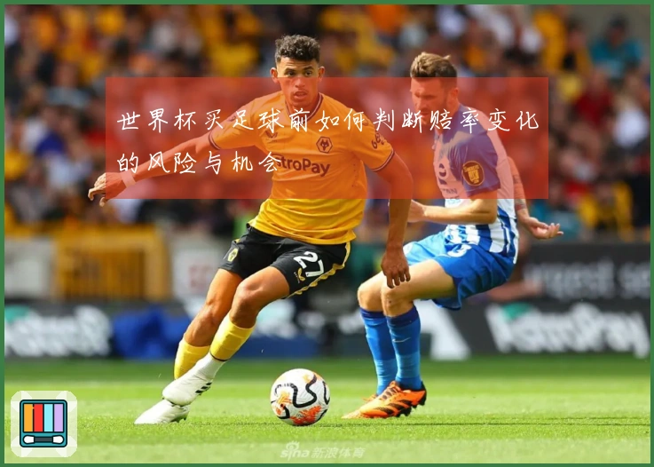 世界杯买足球前如何判断赔率变化的风险与机会