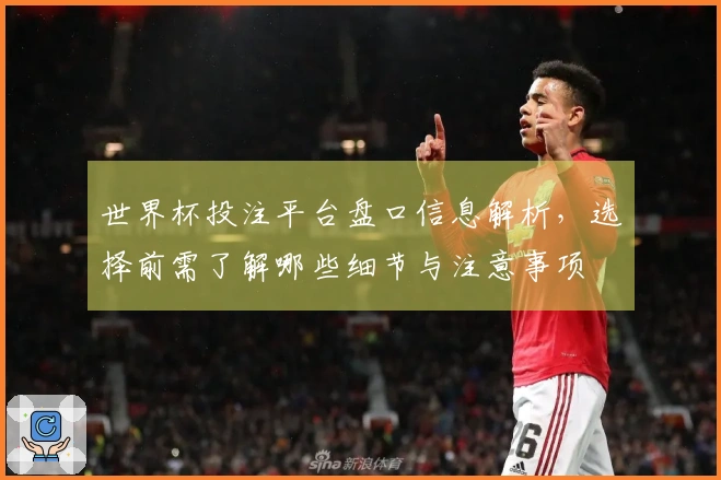 世界杯投注平台盘口信息解析，选择前需了解哪些细节与注意事项