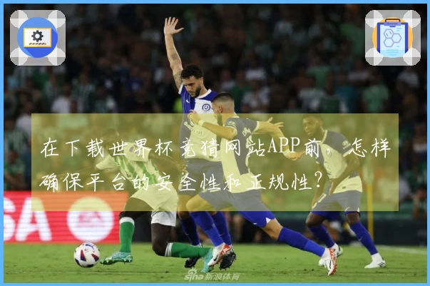 在下载世界杯竞猜网站APP前，怎样确保平台的安全性和正规性？