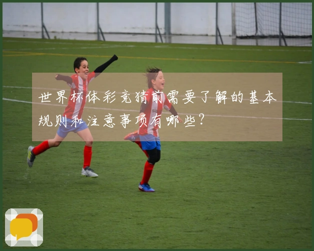 世界杯体彩竞猜前需要了解的基本规则和注意事项有哪些？