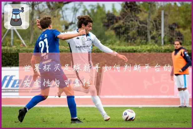 世界杯买足球新手如何判断平台的安全性与可靠性