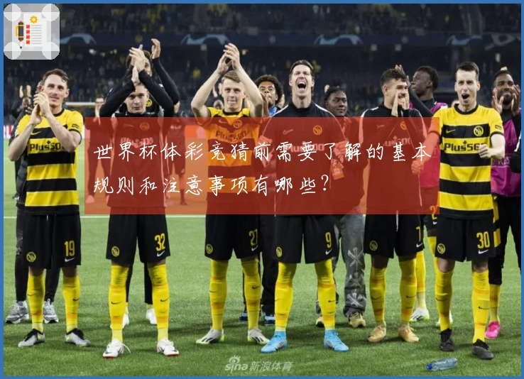世界杯体彩竞猜前需要了解的基本规则和注意事项有哪些？