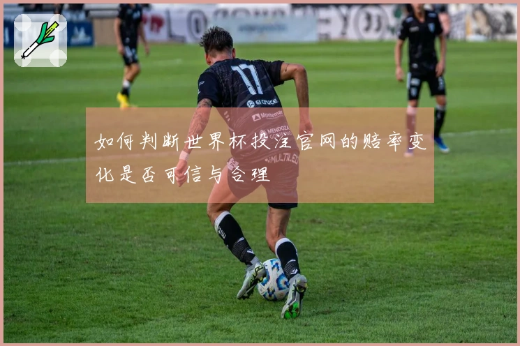 如何判断世界杯投注官网的赔率变化是否可信与合理